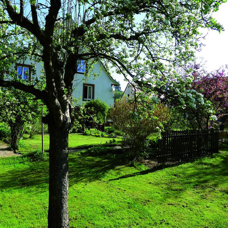 Un gîte dans la vallée Obersteinbach Exterior foto
