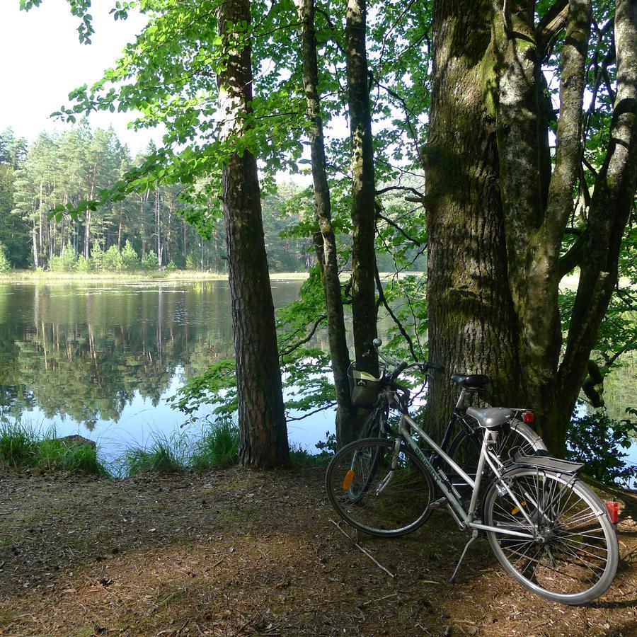 Un gîte dans la vallée Obersteinbach Exterior foto